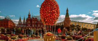 Фестиваль «Золотая осень» 2019